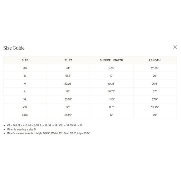 POMANDER PLACE Black Rae Blouse Size L NWT Retail $98 Tuckernuck - Picture 3 of 9